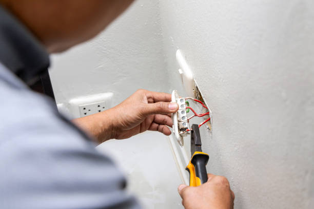 Best Home Electrical Repair  in Anchor Point, AK